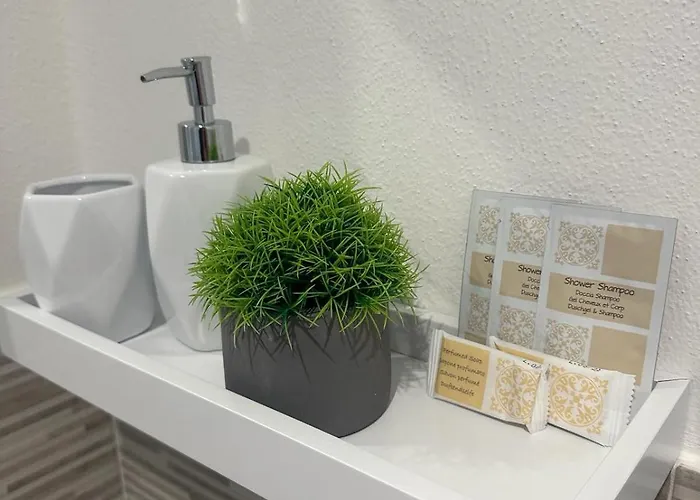 招待所 S' Apossentu 丰尼